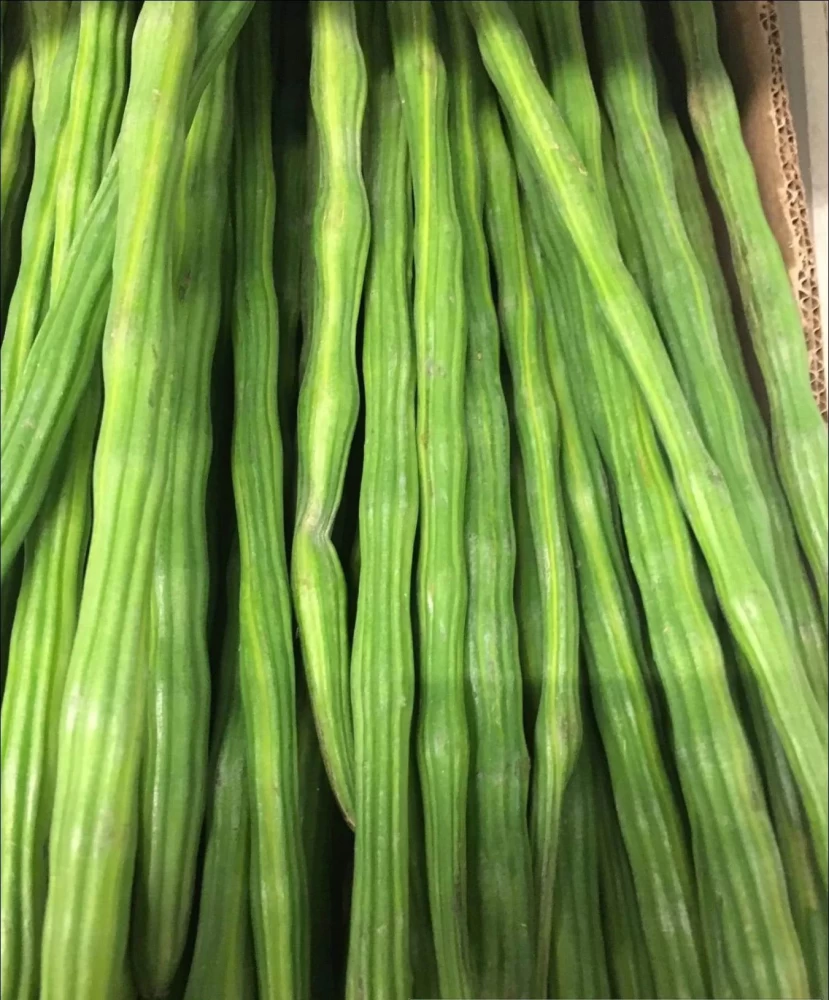Moringa Drumstick - Image 2