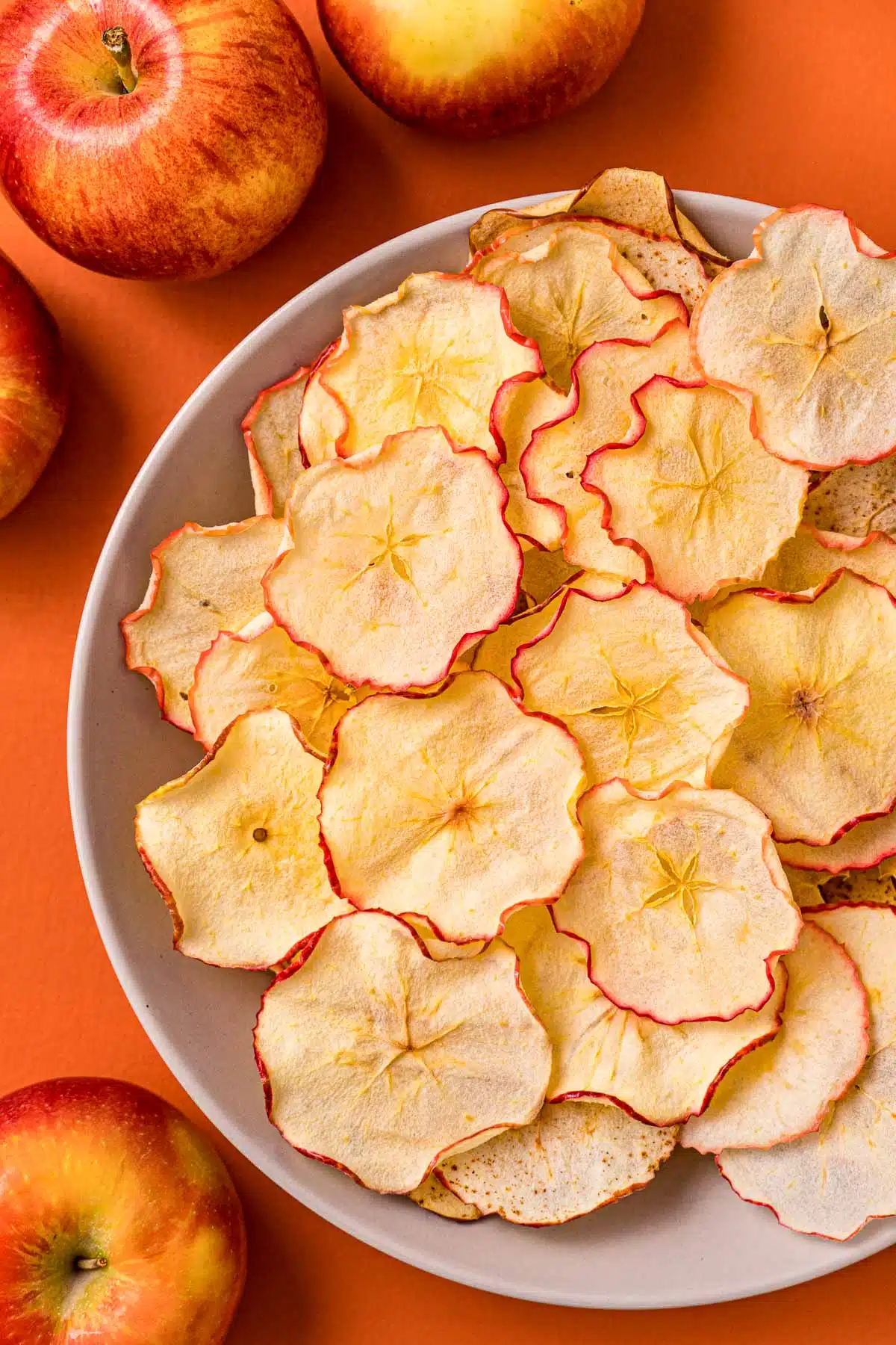 Dehydrated Apple - Image 2
