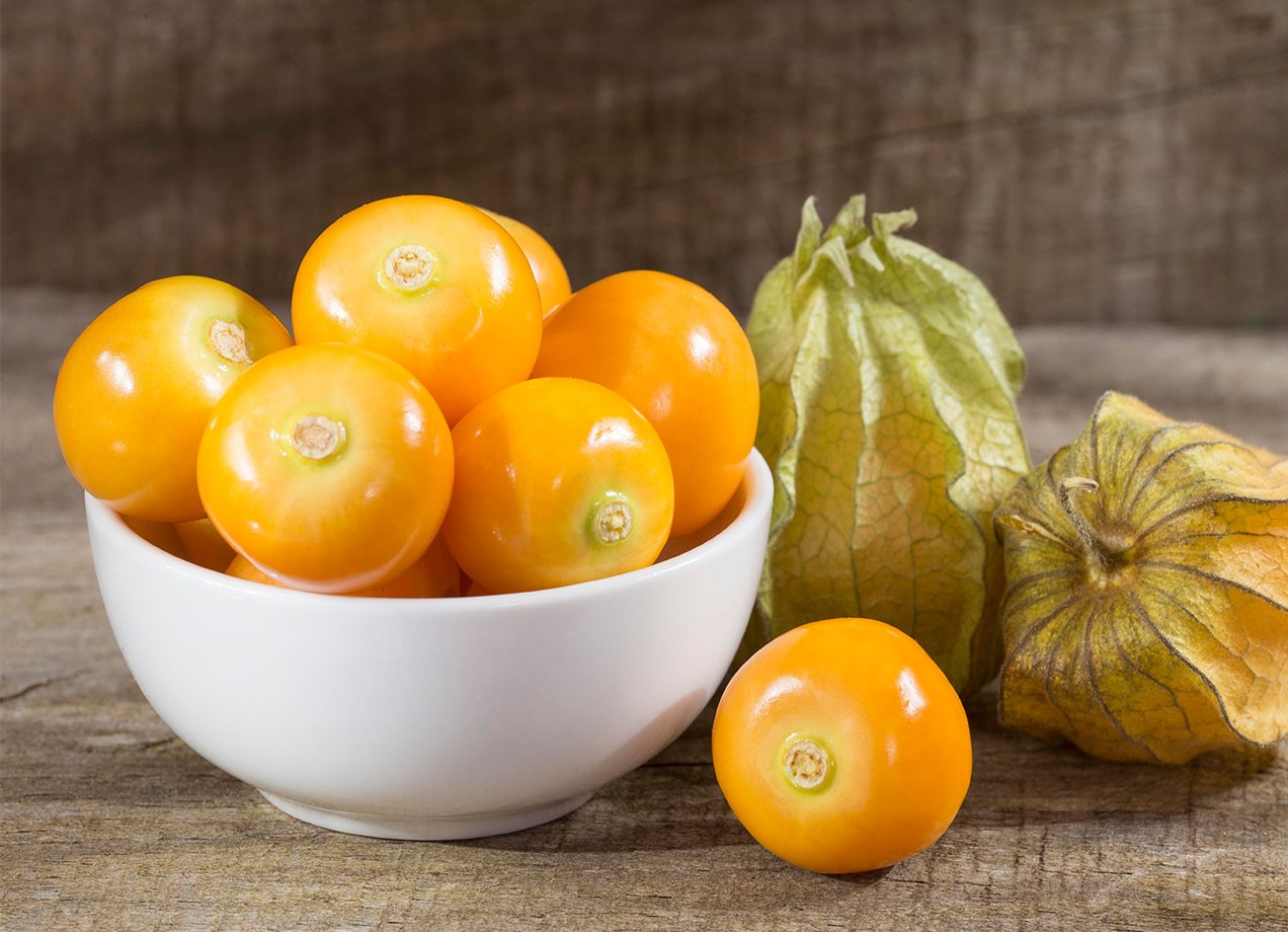 Cape Gooseberry