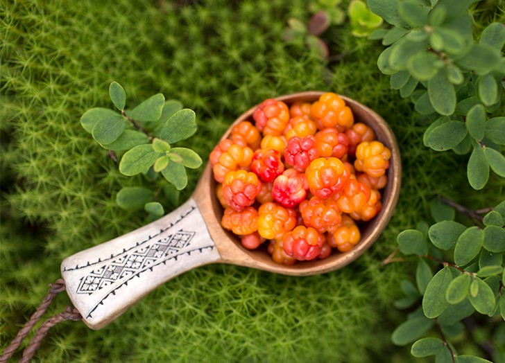 Cloudberry