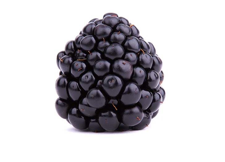 Dewberry