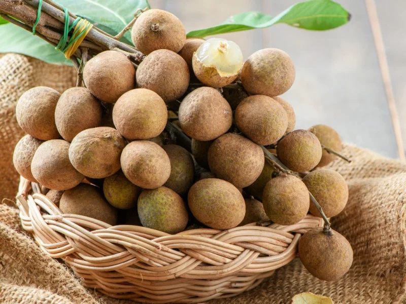Longan Lychee - Image 4