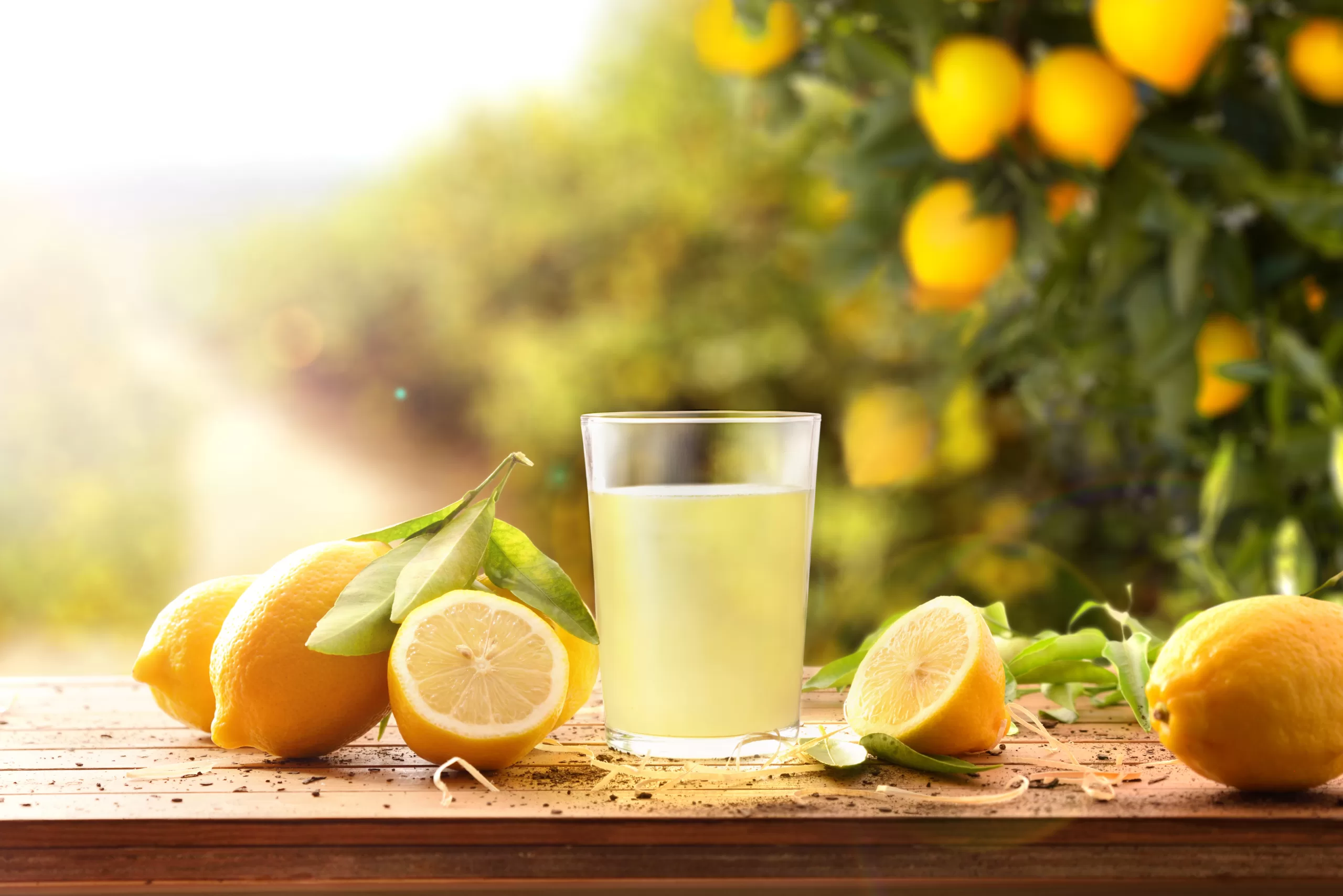 Lemon - Image 5