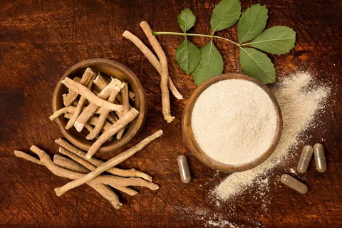 Ashwagandha roots - Image 4
