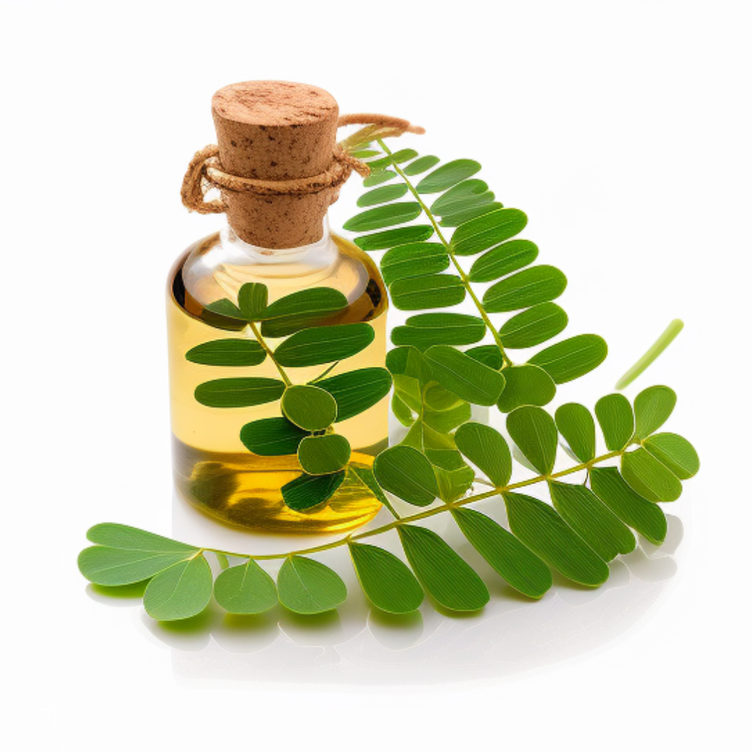 Moringa Cold Pressed Oil - Image 3