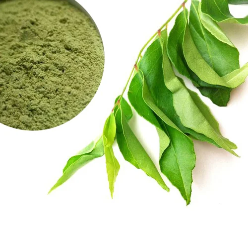 Dehydrated Curry Leaves Powder
