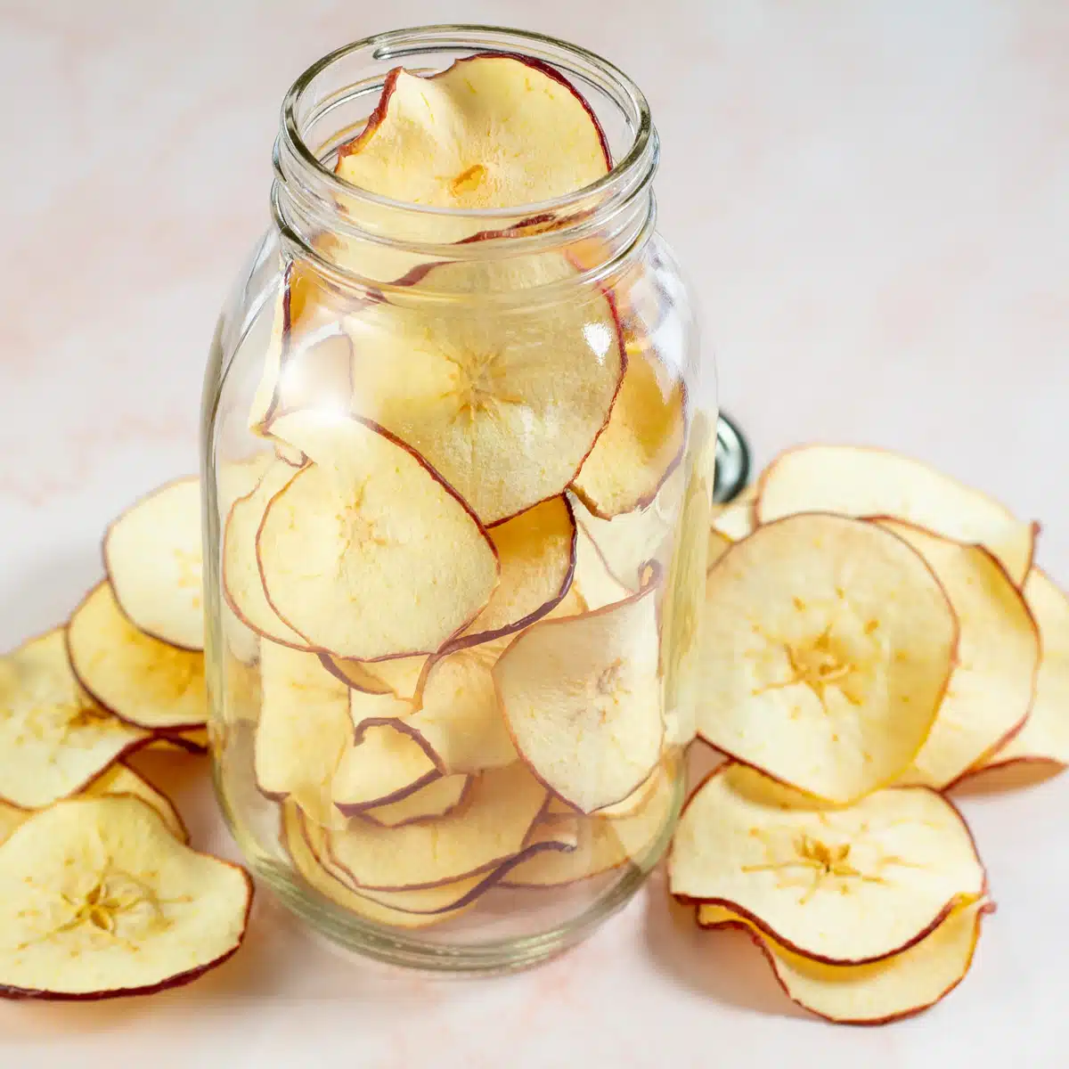 Dehydrated Apple - Image 5