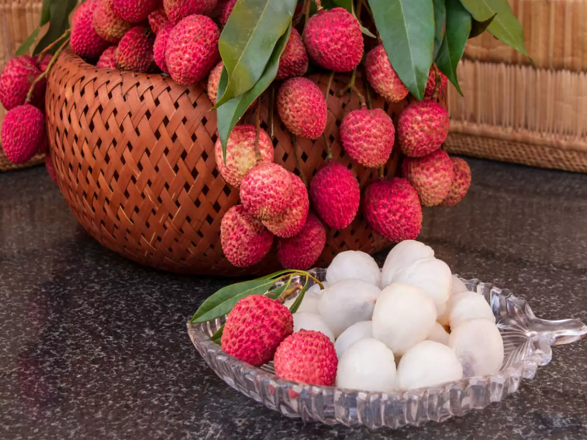 Indian Bengal Lychee