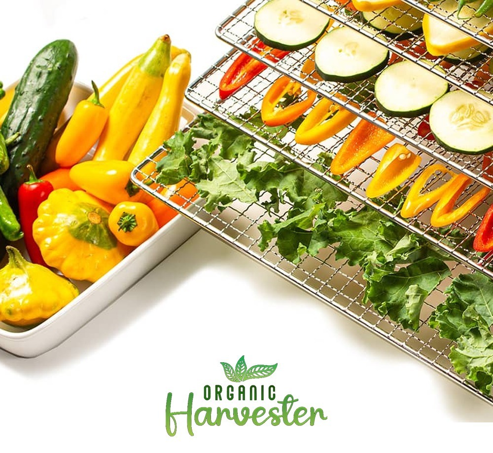 Buy Dried Vegetables in India