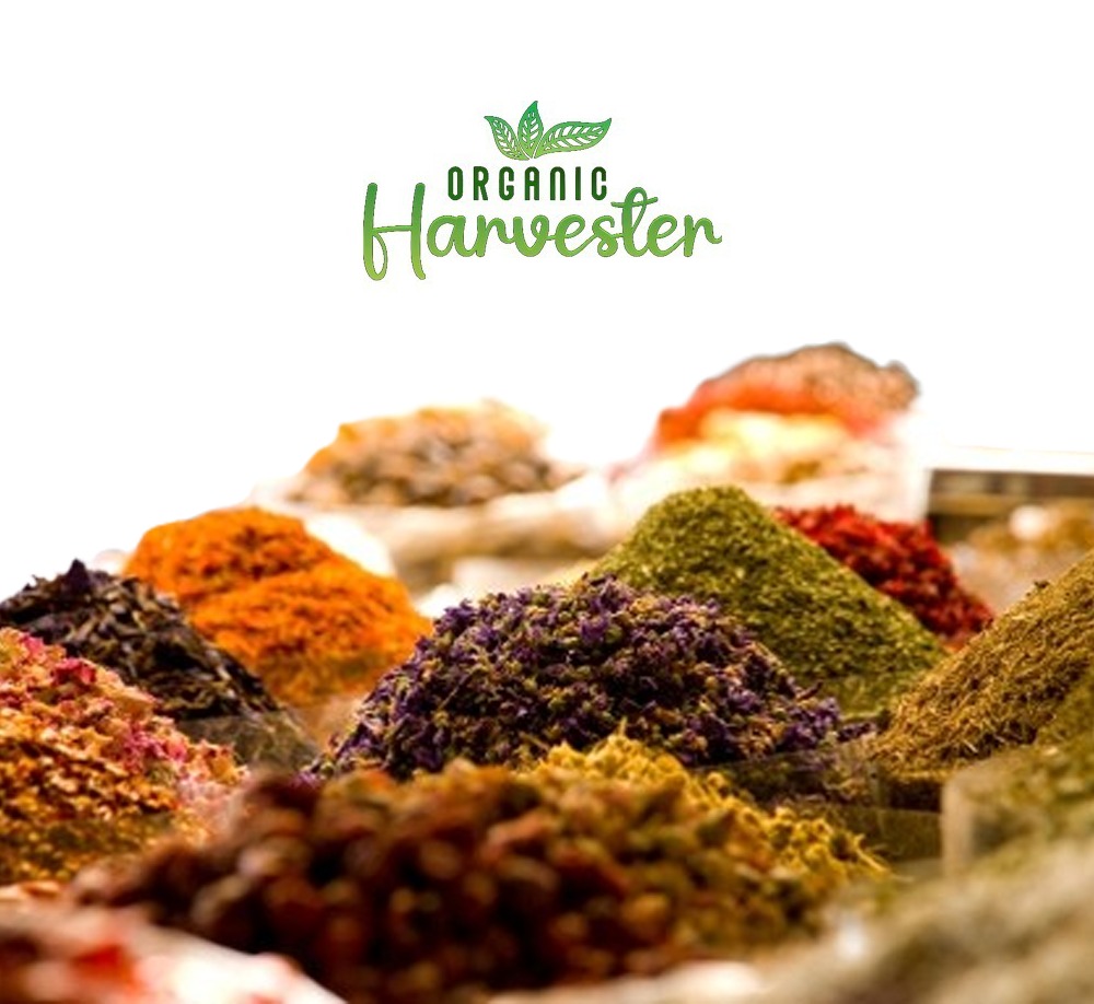 dry vegetable powder manufacturers in India